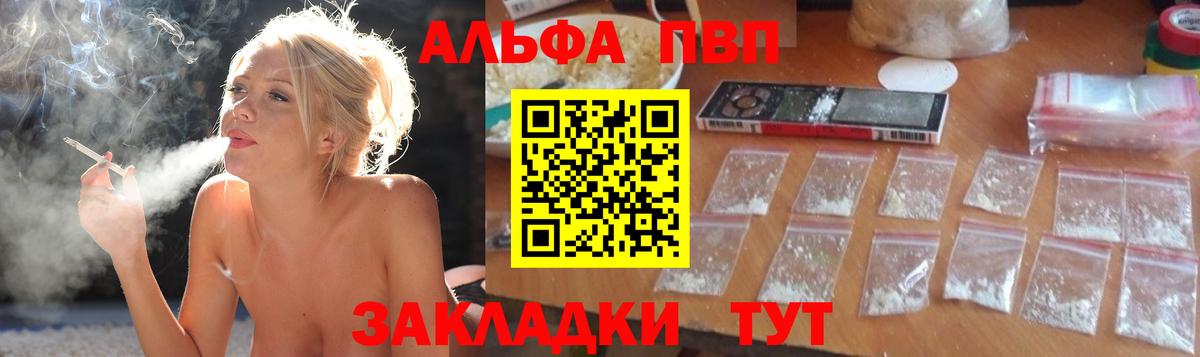 Alfa_PVP СК КРИС Псков