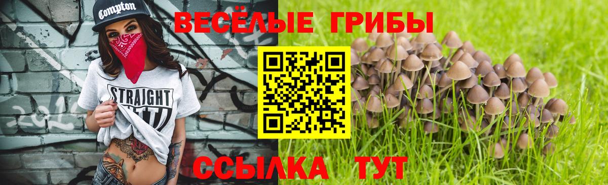 Галлюциногенные грибы GOLDEN TEACHER  Галлюциногенные грибы прущие грибы  Вход с VPN  Псков 